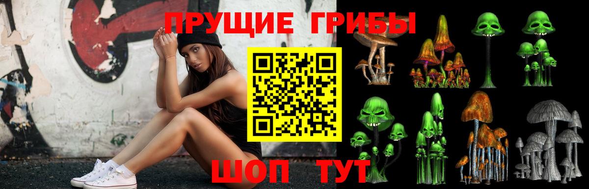 Галлюциногенные грибы Cubensis  Вход с VPN  Галлюциногенные грибы Psilocybe  Благовещенск 